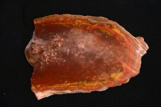 img_6352_web